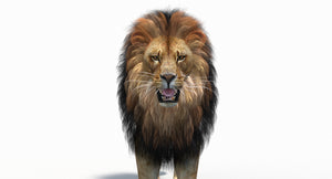 Animated lion 3d model for download Thumbnail