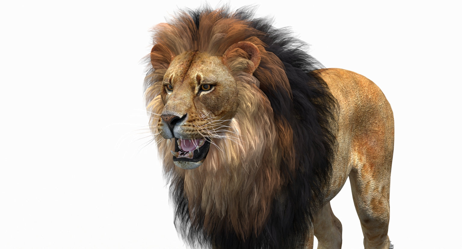 Game-Ready Animated Lion 3D Model (Polygonal Mane)