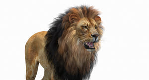 Game-Ready Animated Lion 3D Model (Polygonal Mane) Thumbnail