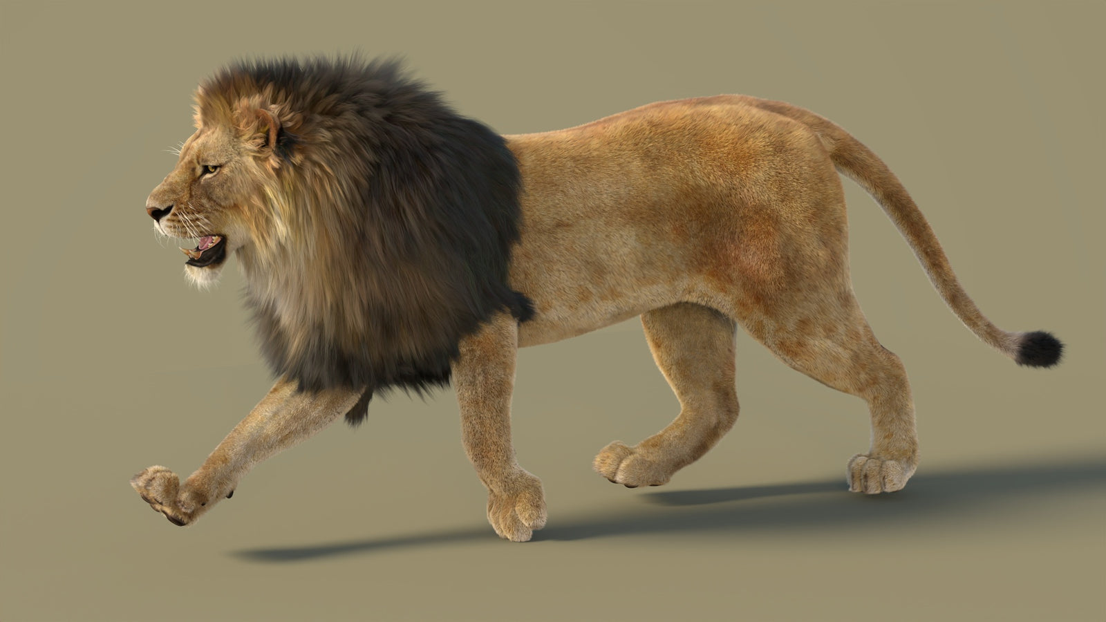 Animated Lion 3D Model with Fur 360° view 2 frame 17