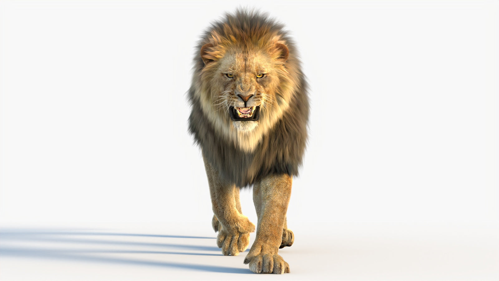 Animated Lion 3D Model with Fur 360° view 4 frame 2