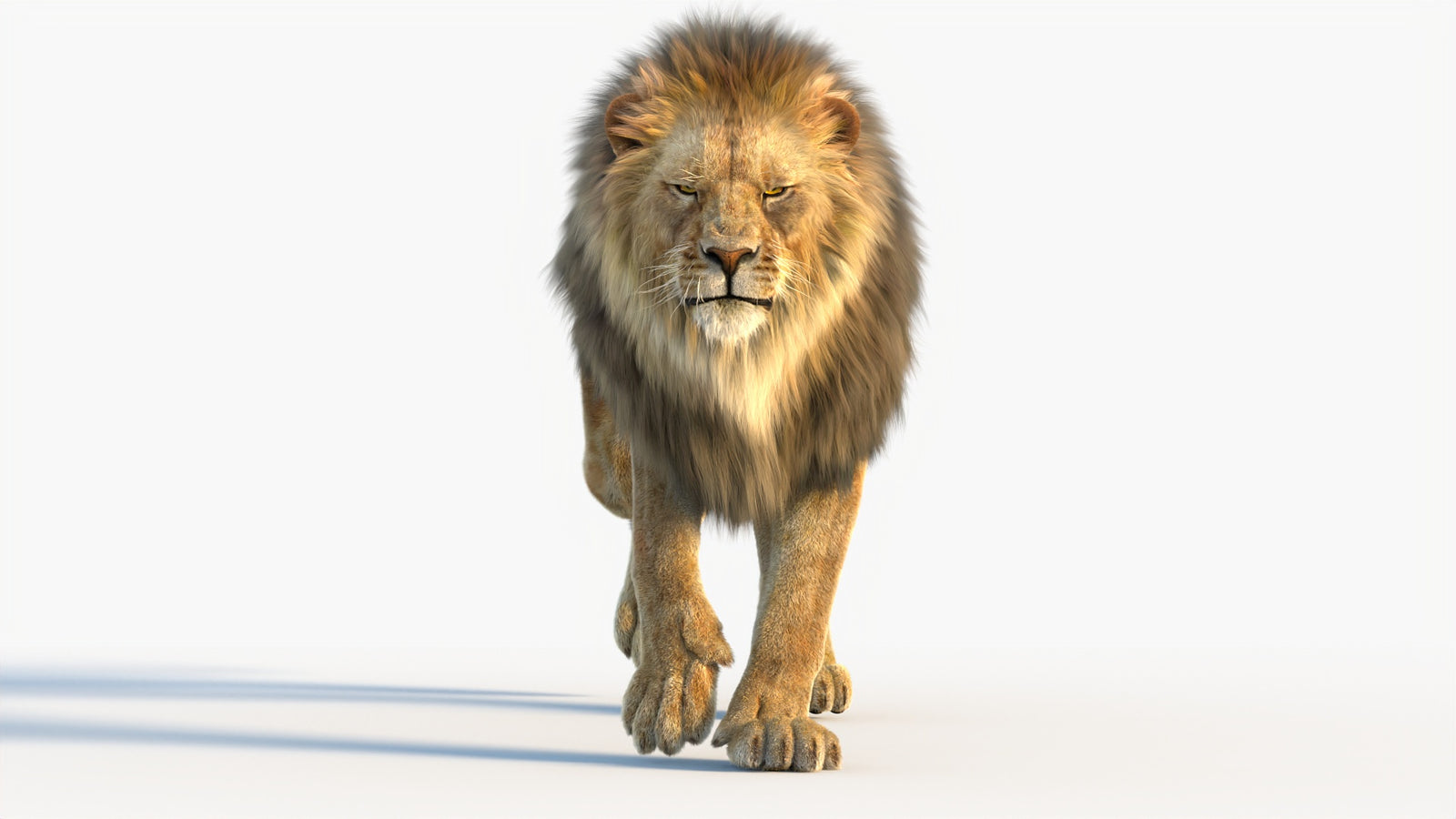 Animated Lion 3D Model with Fur 360° view 4 frame 9