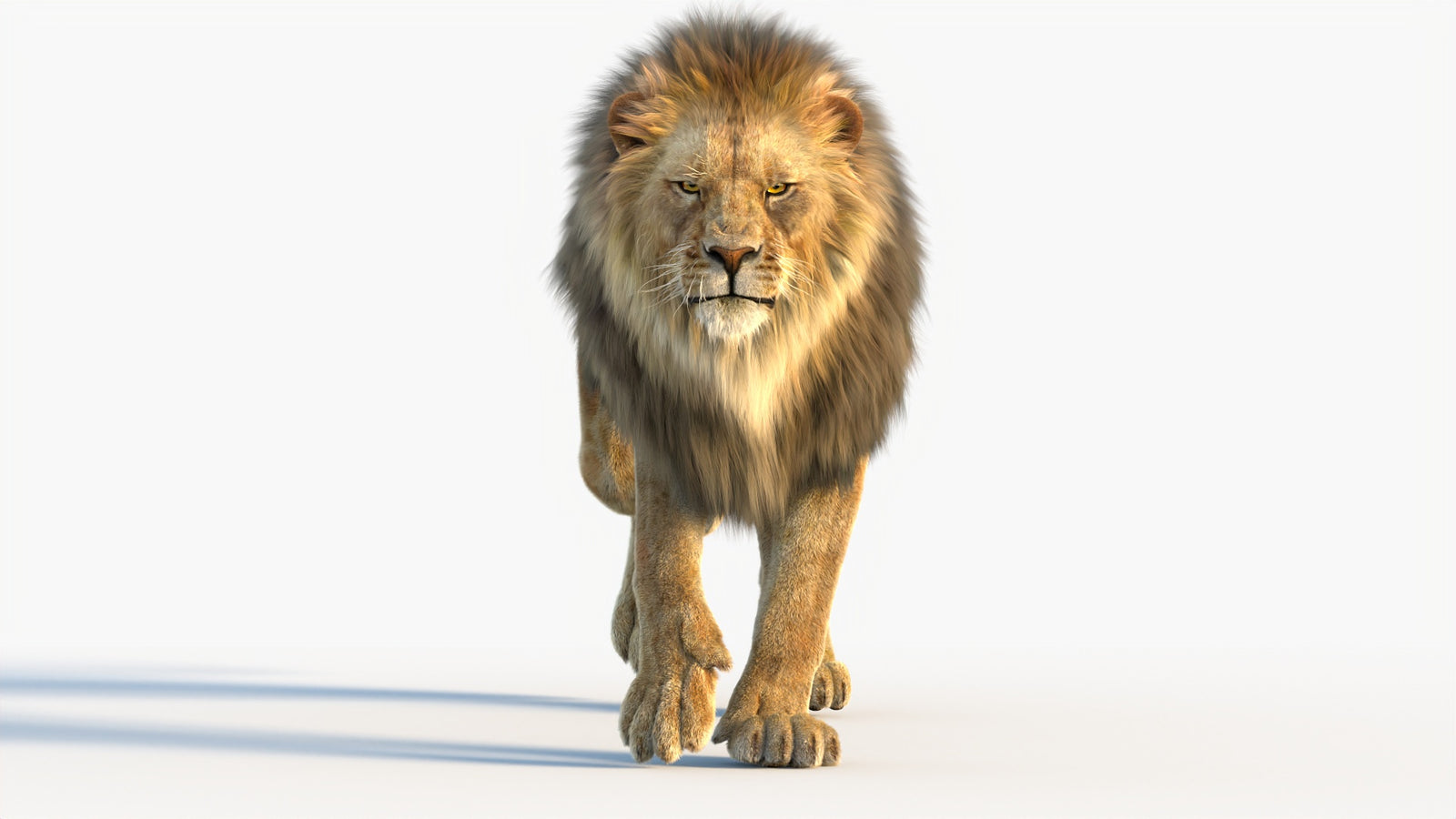 Animated Lion 3D Model with Fur 360° view 4 frame 10