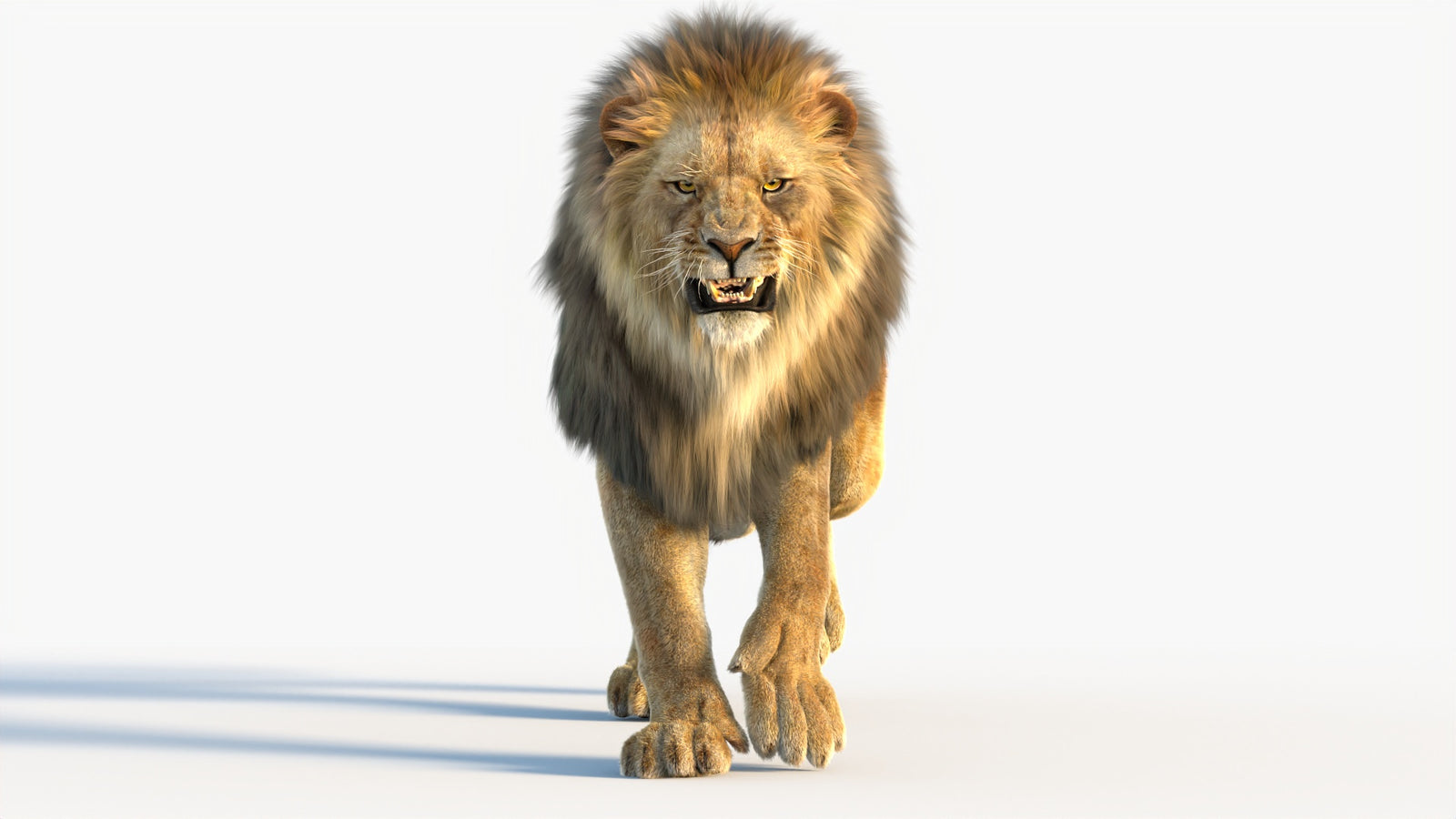 Animated Lion 3D Model with Fur 360° view 4 frame 27