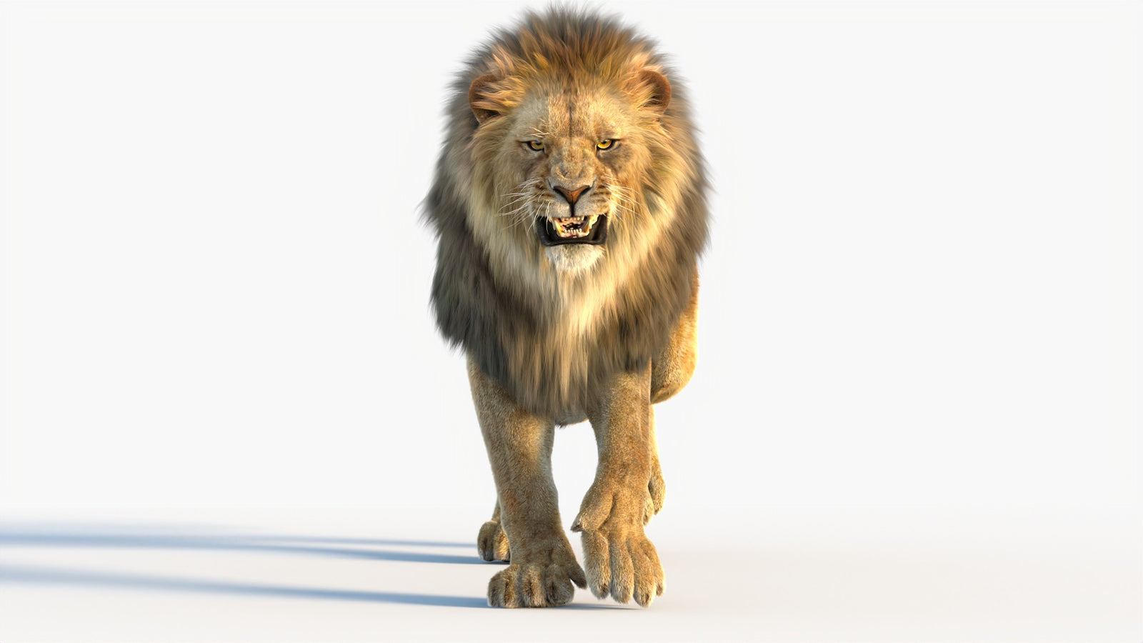 Animated Lion 3D Model with Fur 360° view 4 frame 28