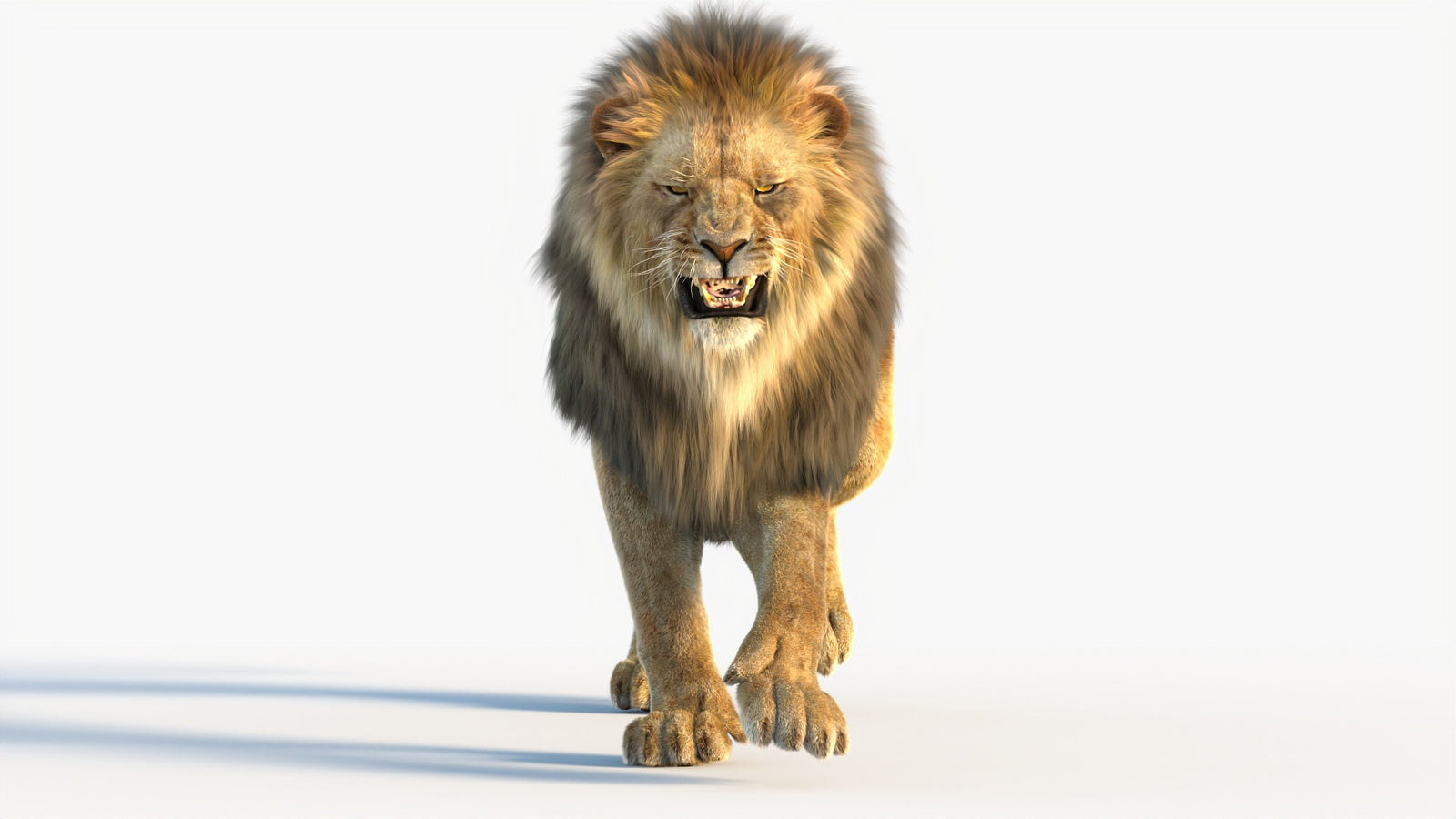 Animated Lion 3D Model with Fur 360° view 4 frame 30