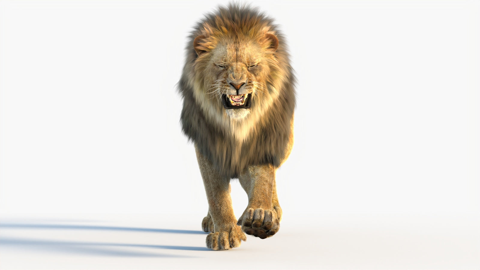 Animated Lion 3D Model with Fur 360° view 4 frame 32