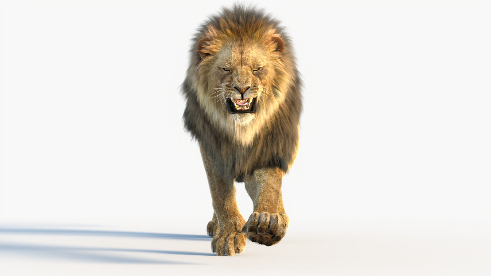 Animated Lion 3D Model with Fur 360° view 4 frame 33