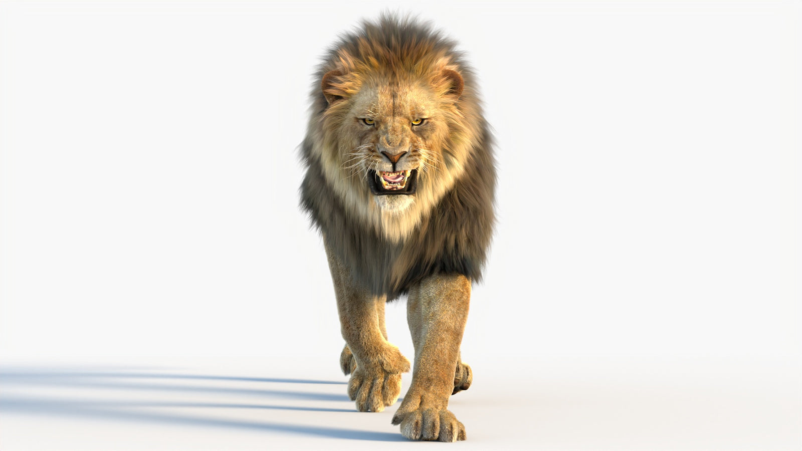 Animated Lion 3D Model with Fur 360° view 4 frame 37