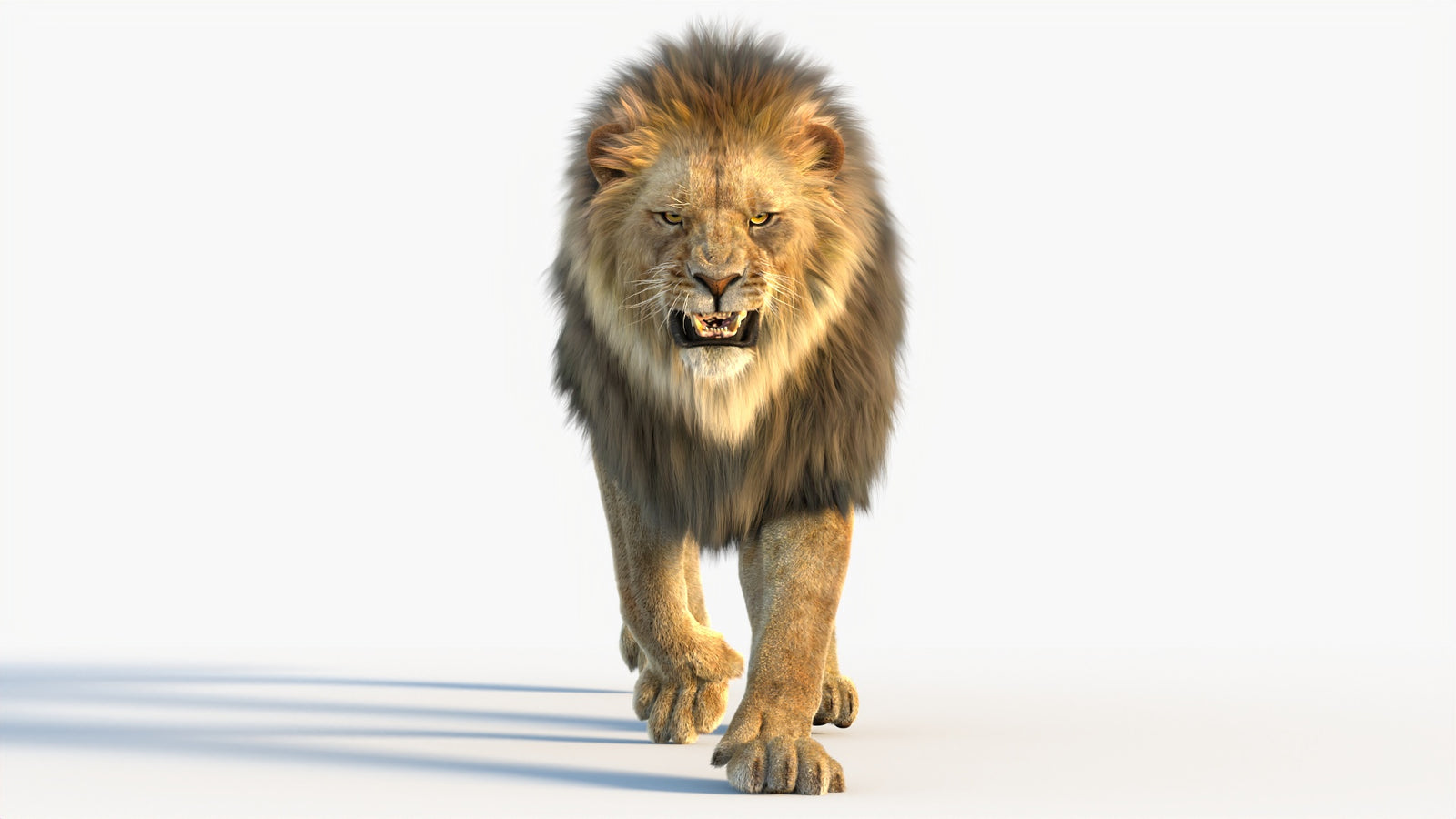 Animated Lion 3D Model with Fur 360° view 4 frame 39