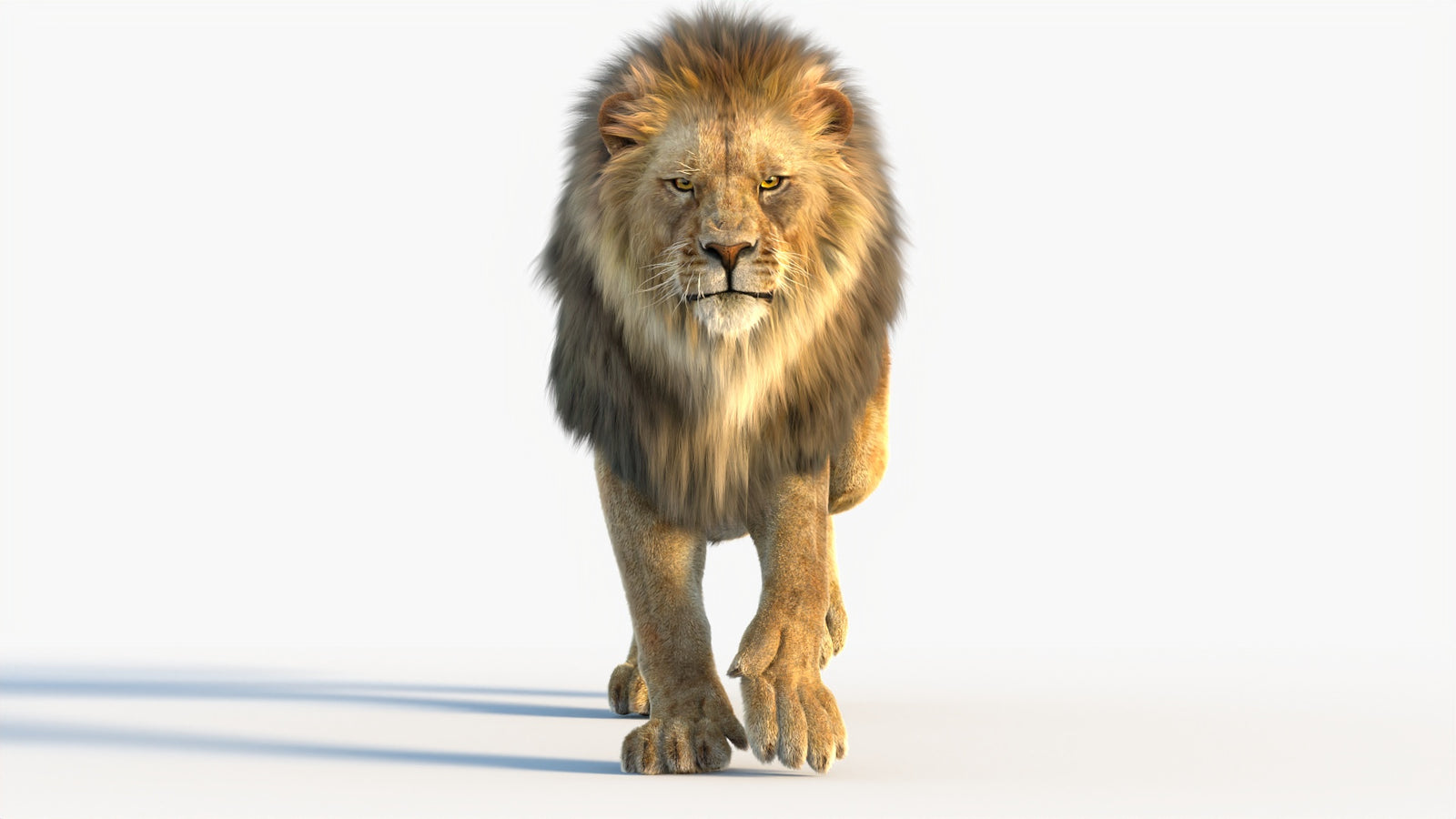 Animated Lion 3D Model with Fur 360° view 4 frame 64
