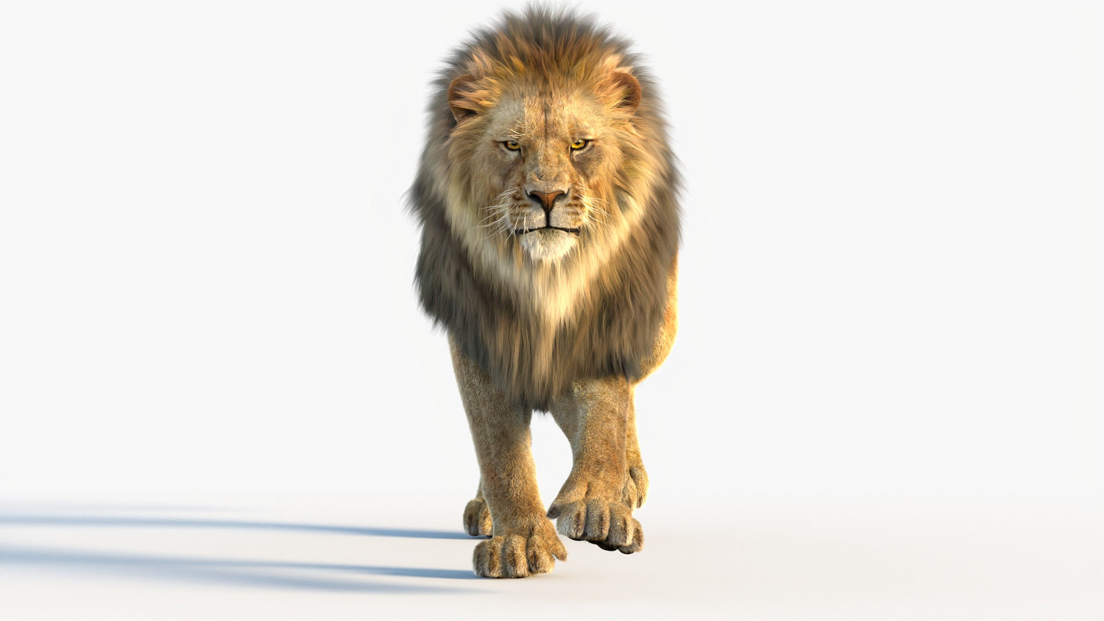 Animated Lion 3D Model with Fur 360° view 4 frame 67