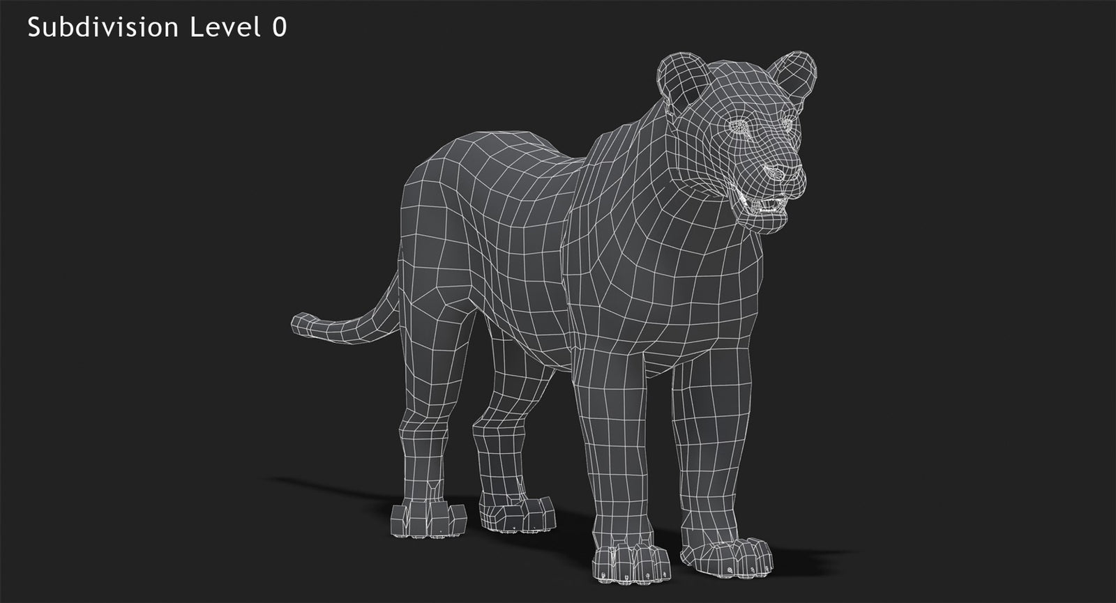 Lion 3D Model Wireframe View Subdivision Level 0