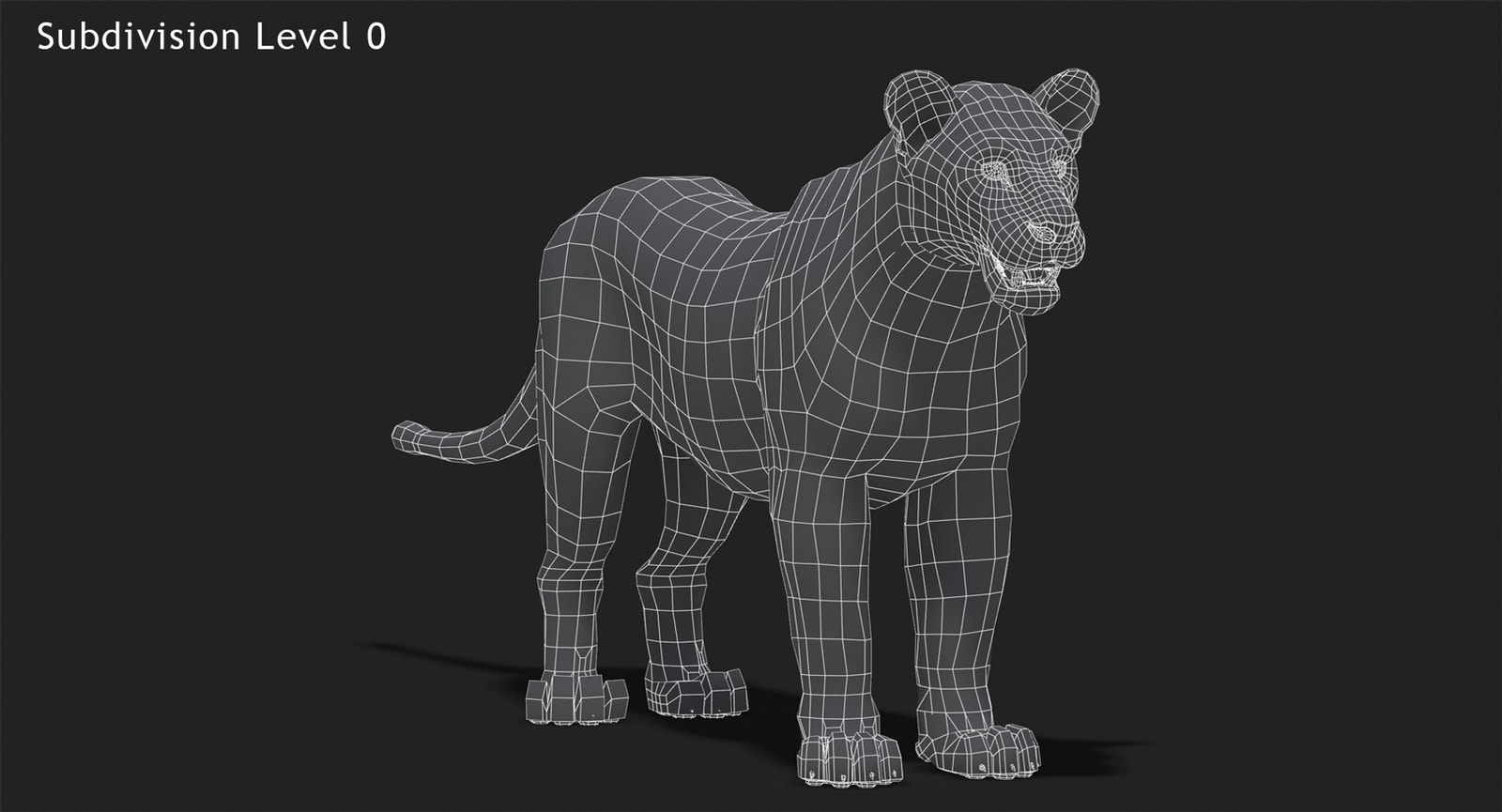 Lion 3D Model Wireframe View Subdivision Level 0