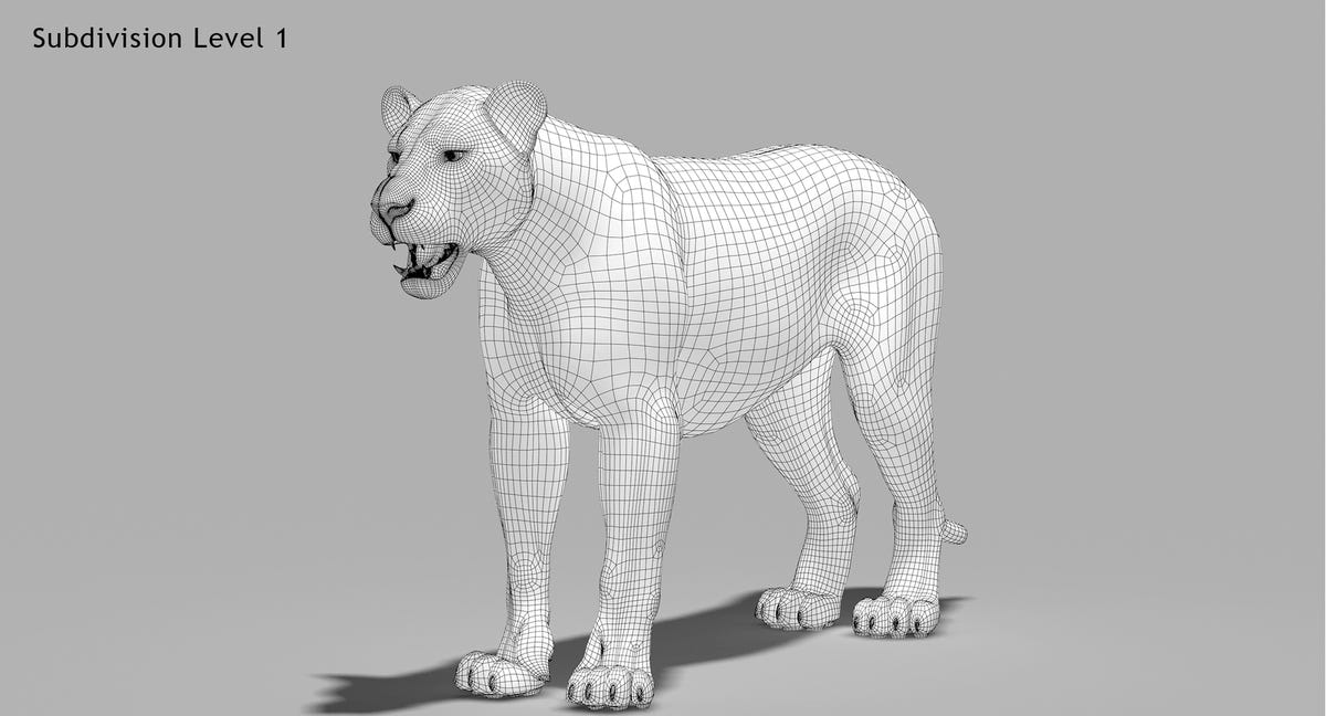 Big Cats 05 3D Model