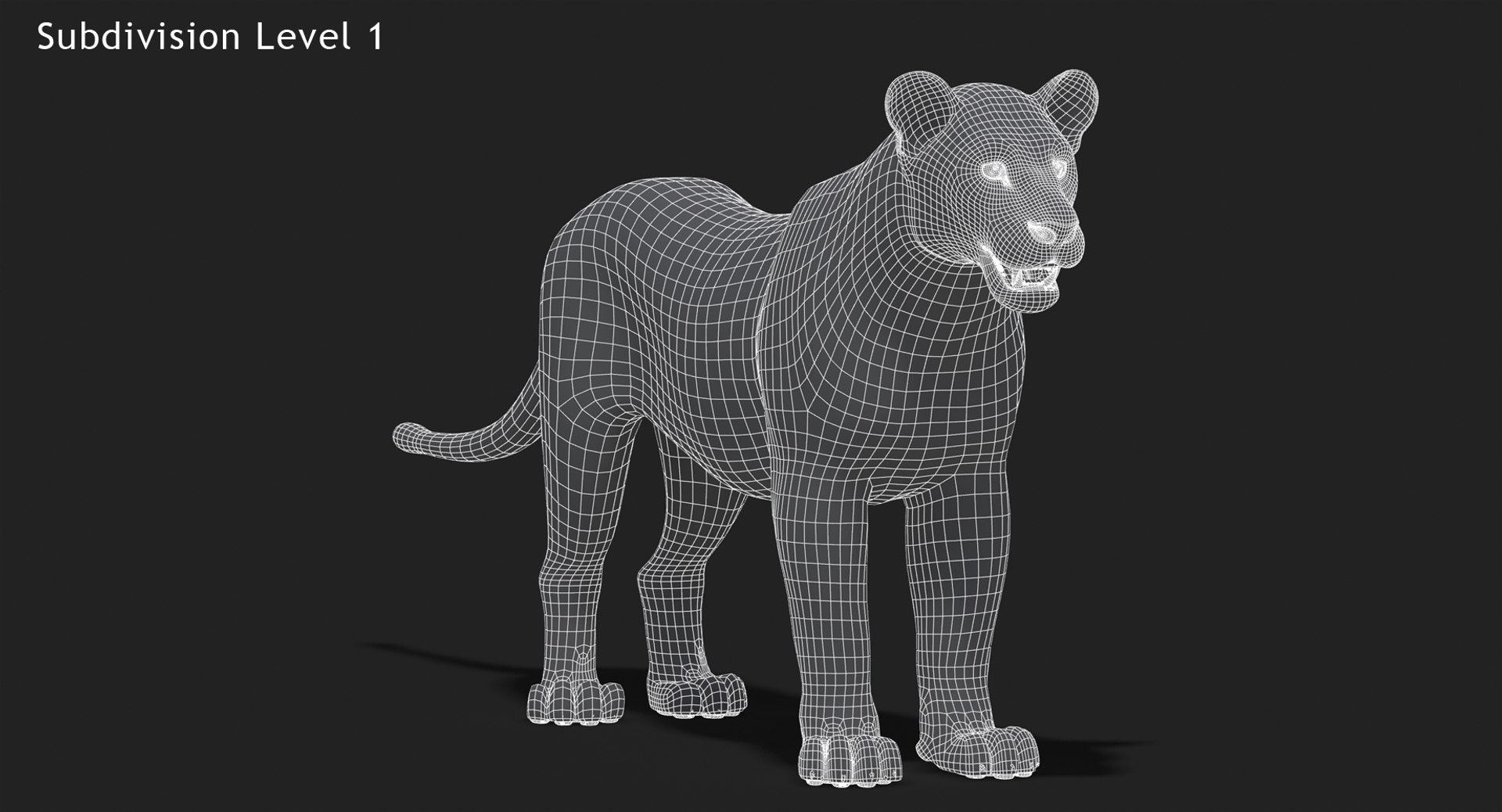 Lion 3D Model Wireframe View Subdivision Level 1
