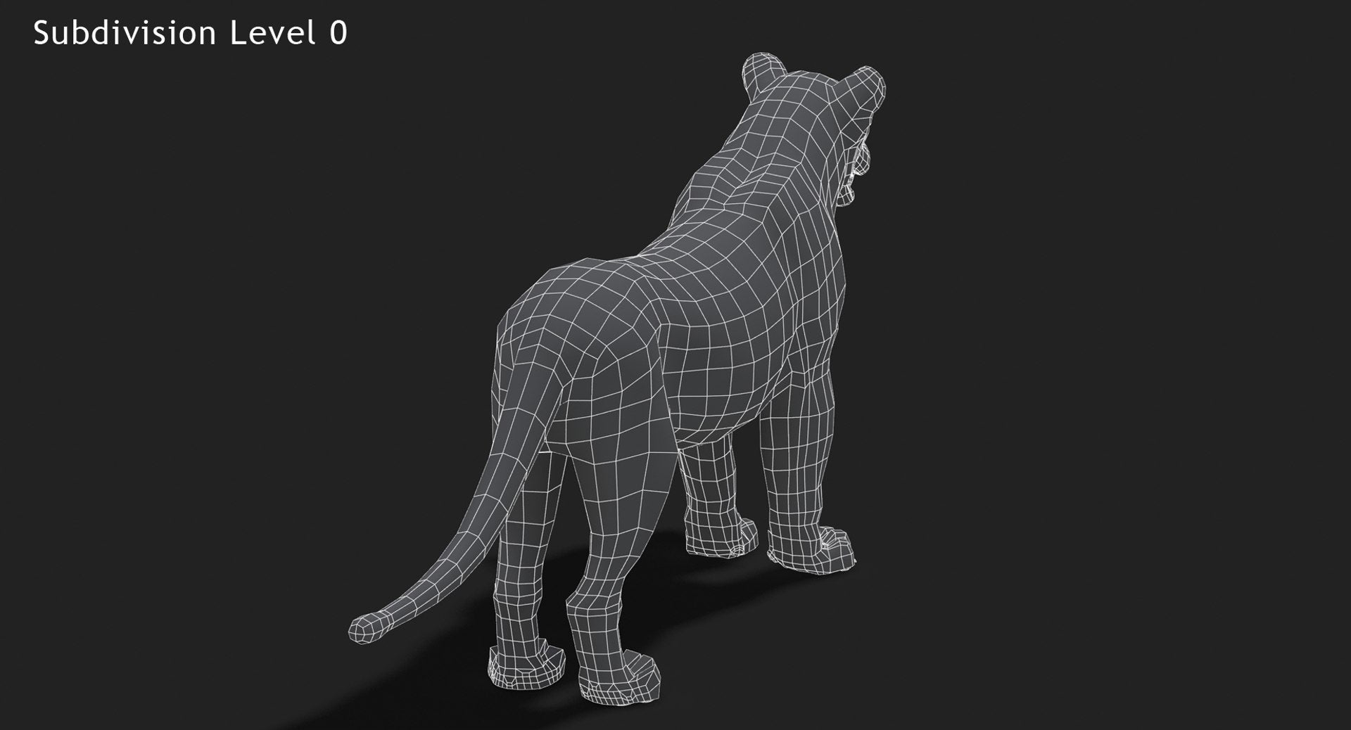 Lion 3D Model Wireframe View Subdivision Level 0
