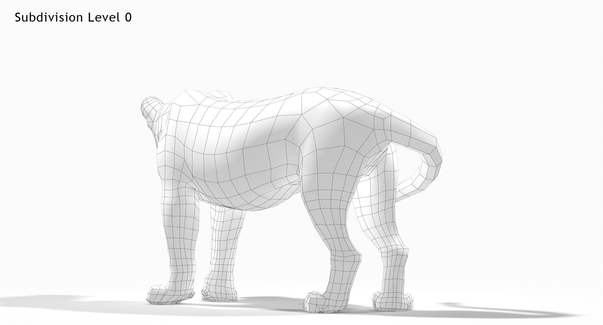 Rigged Lion 3D Model - Woreframe VIew Subdivision Level 0
