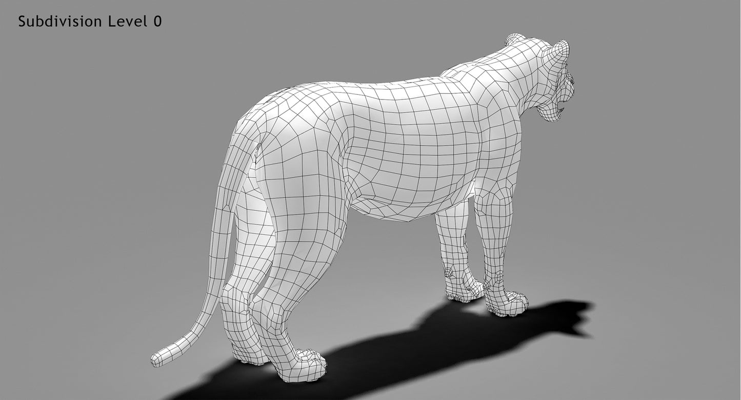 Lion Animated 3D Model Fur Two colors