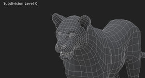 Lion 3D Model Close Up Wireframe View Subdivision Level 0