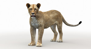Lioness Rigged 3D Model Thumbnail