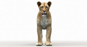 Lioness Rigged 3D Model Thumbnail