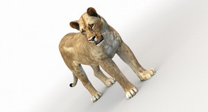 Lioness Rigged 3D Model Thumbnail