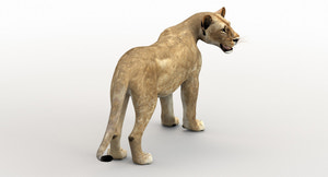 Lioness Rigged 3D Model Thumbnail