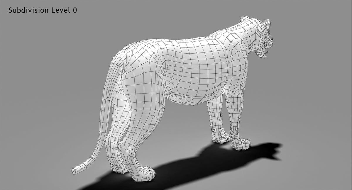 High-quality lion 3D model topology in wireframe view, subdivision 0 for animation and rendering