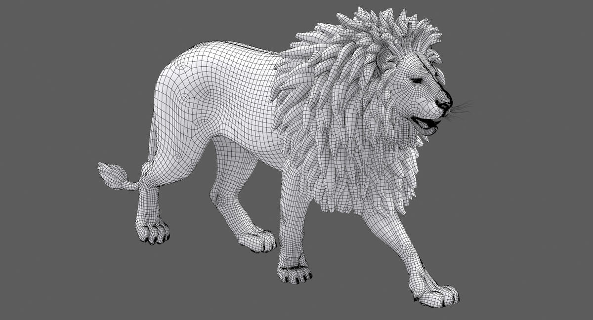 Animated lion 3d model wireframe view 02