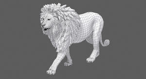 Lion 3D Model wireframe view Thumbnail