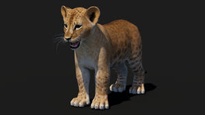 Realistic Lion Cub 3D Model for Download Thumbnail