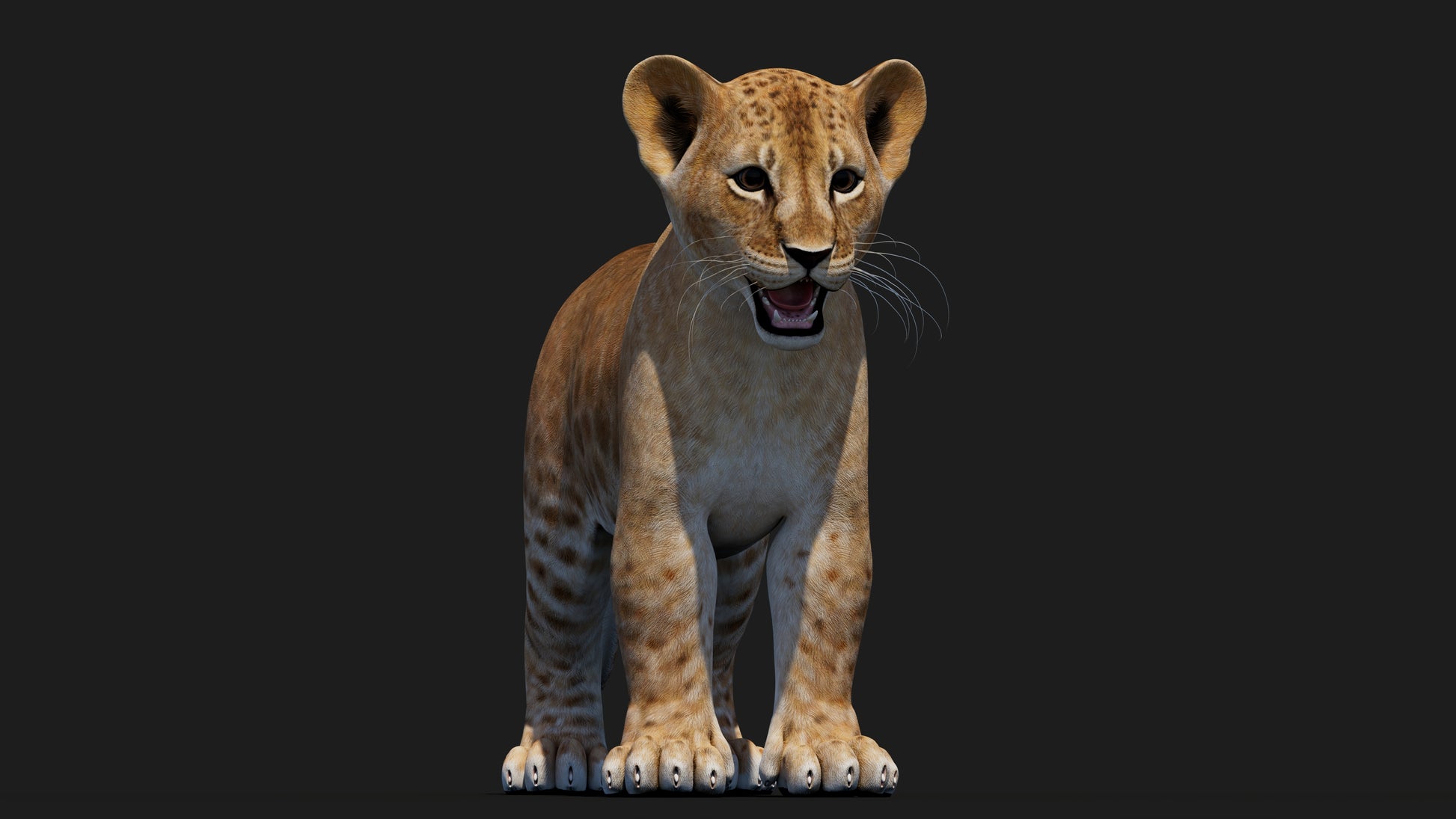 Realistic Lion Cub 3D Model for Game Projects
