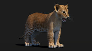 Realistic Lion Cub 3D Model for Game Projects Thumbnail