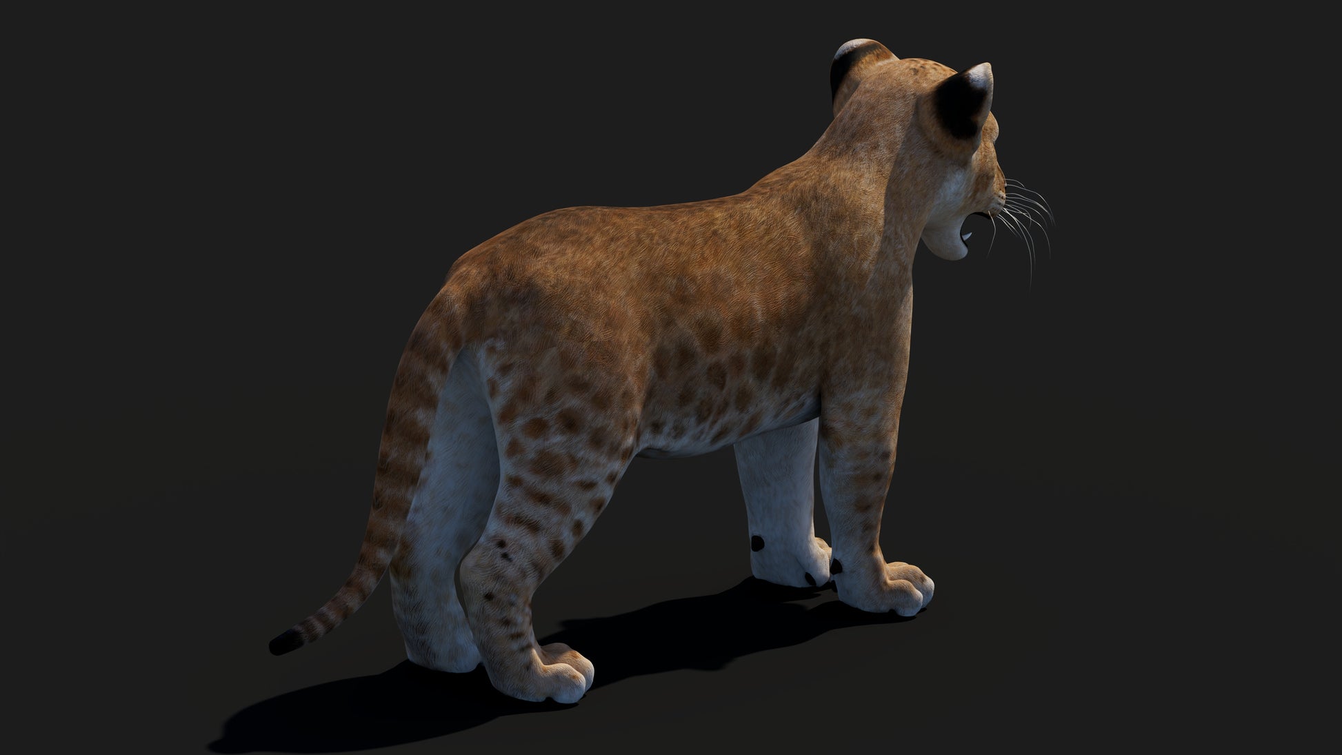 Realistic Lion Cub 3D Model for Game Projects