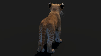 Realistic Lion Cub 3D Model for Game Projects