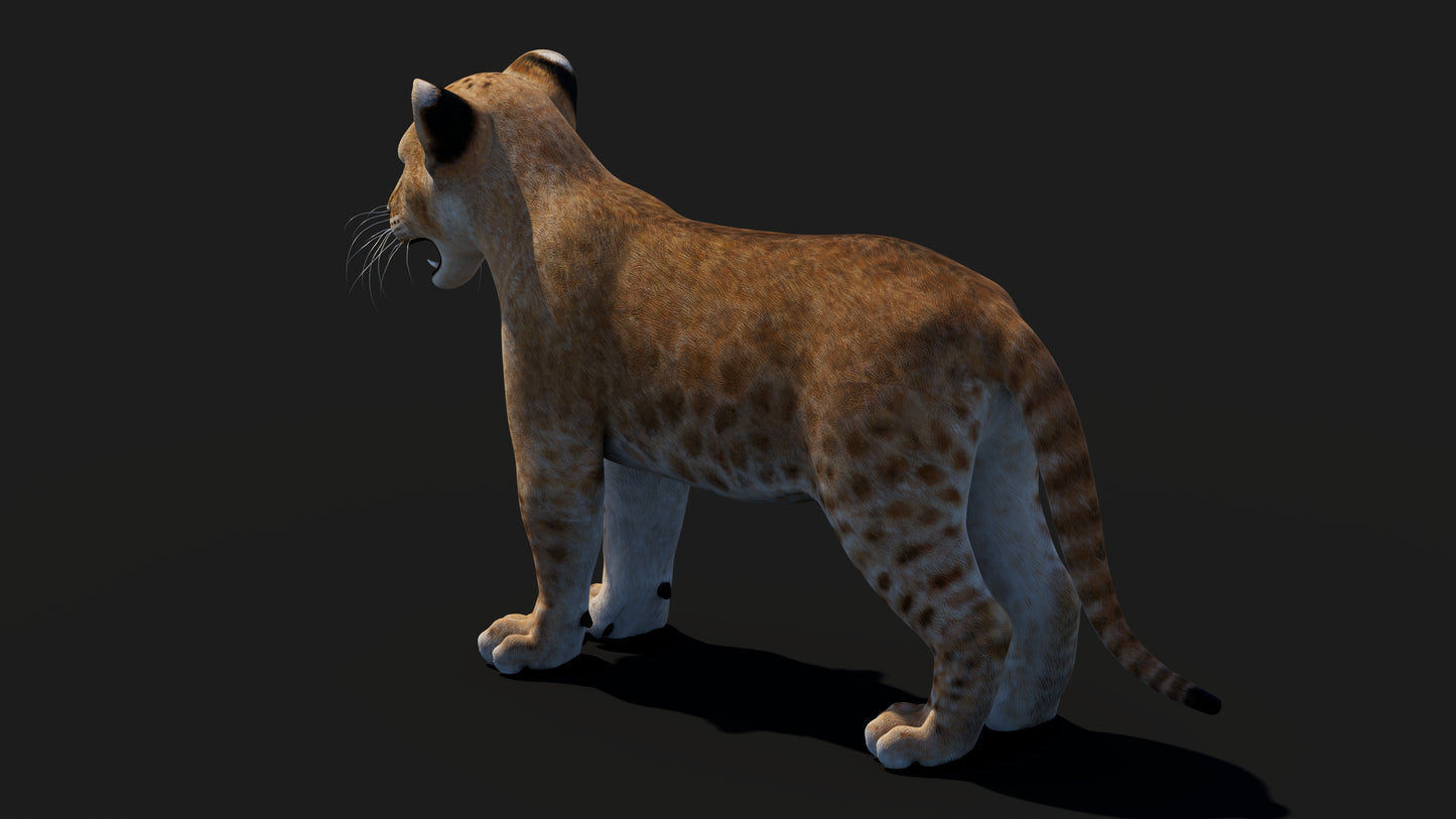 Realistic Lion Cub 3D Model for Game Projects