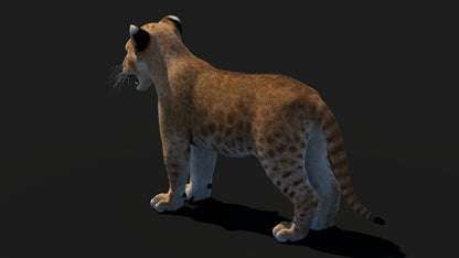 Realistic Lion Cub 3D Model for Game Projects