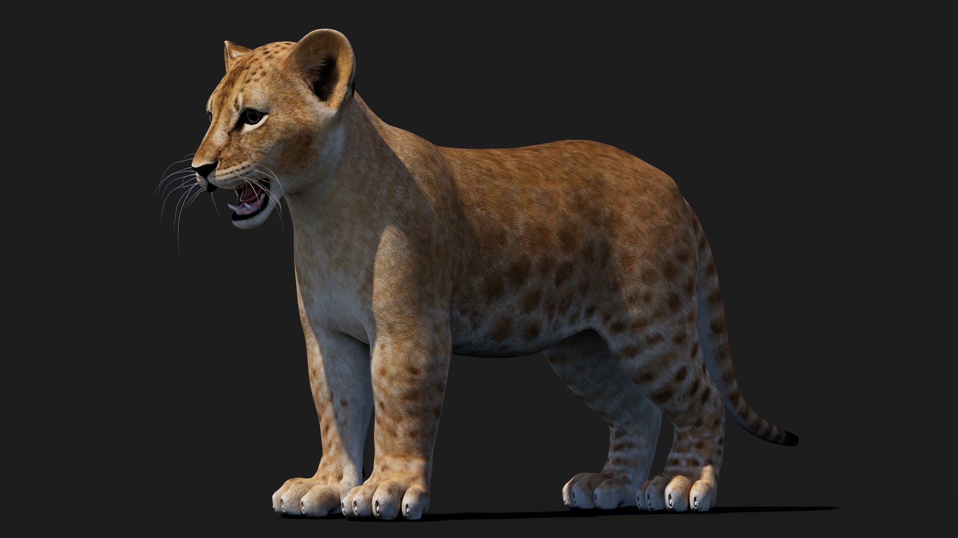 Realistic Lion Cub 3D Model for Game Projects