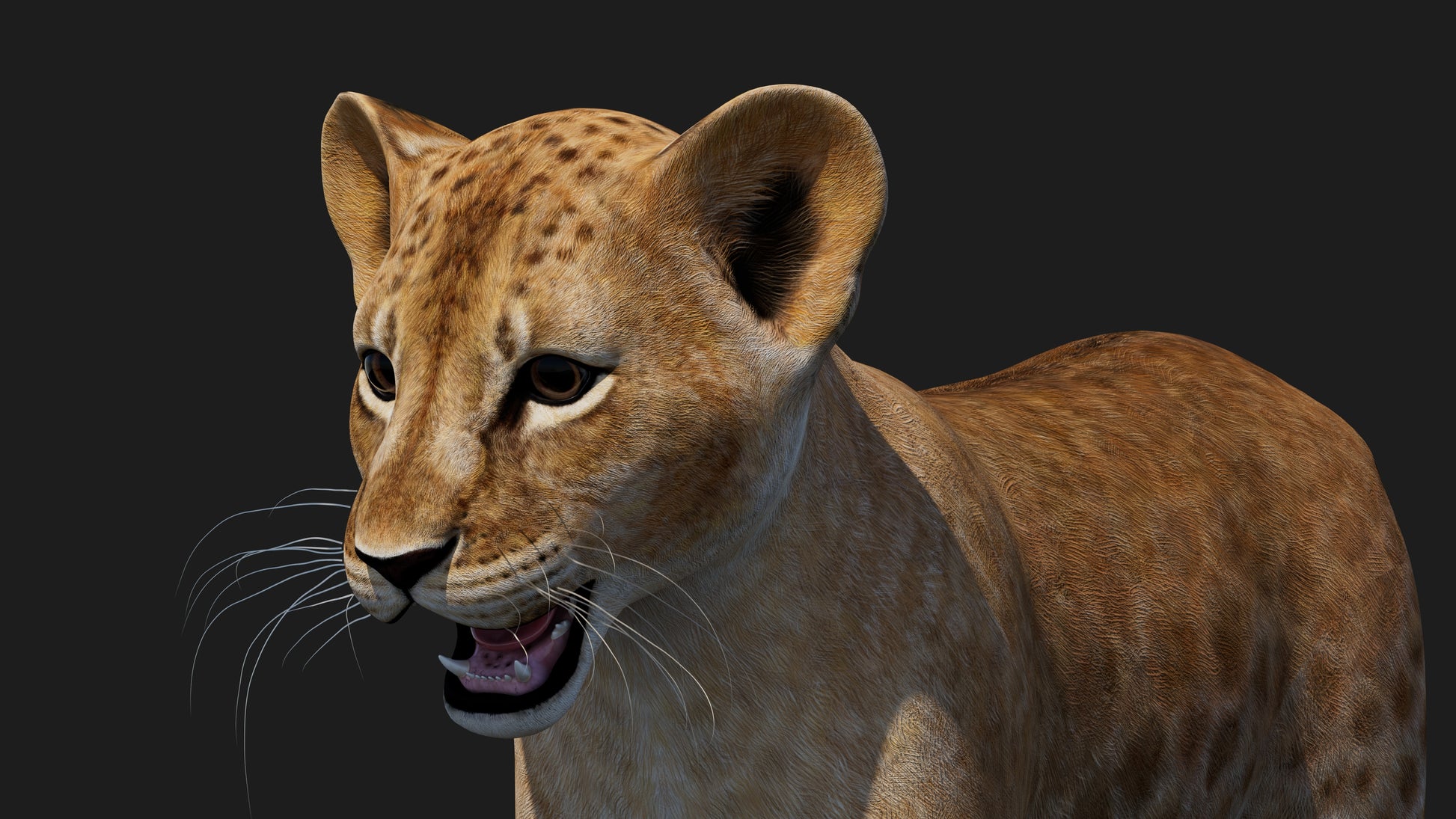 Realistic Lion Cub 3D Model for Game Projects