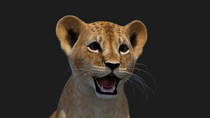 Realistic Lion Cub 3D Model for Game Projects Thumbnail
