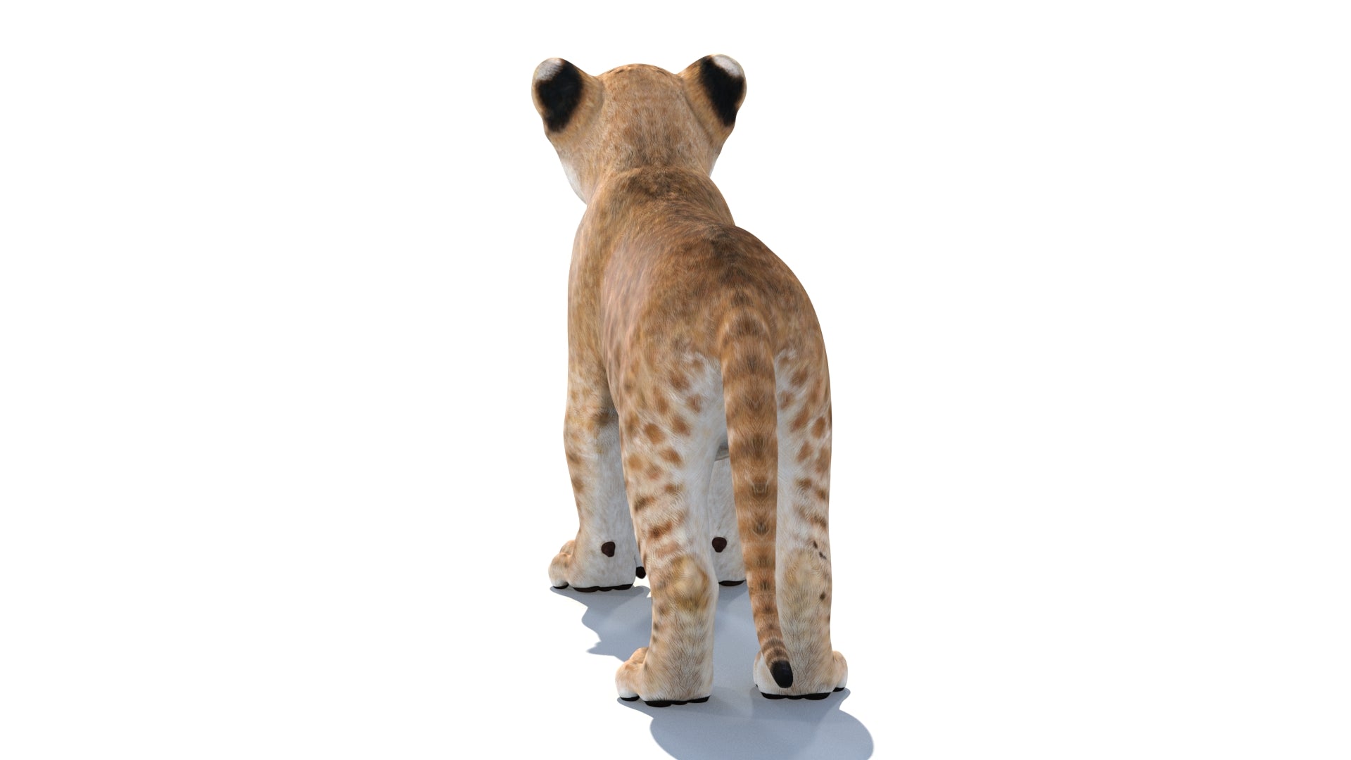 Lion Cub 3D Model Bundle – Natural & White