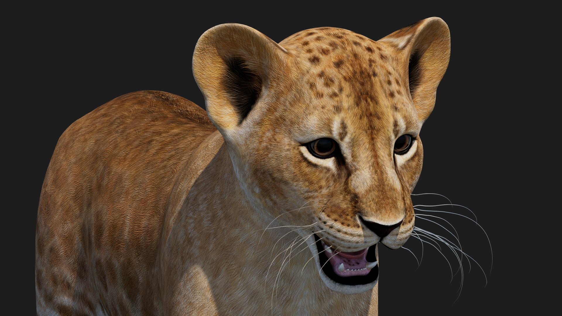 Realistic Lion Cub 3D Model for Game Projects