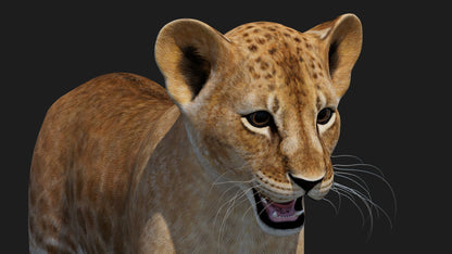 Realistic Lion Cub 3D Model for Game Projects