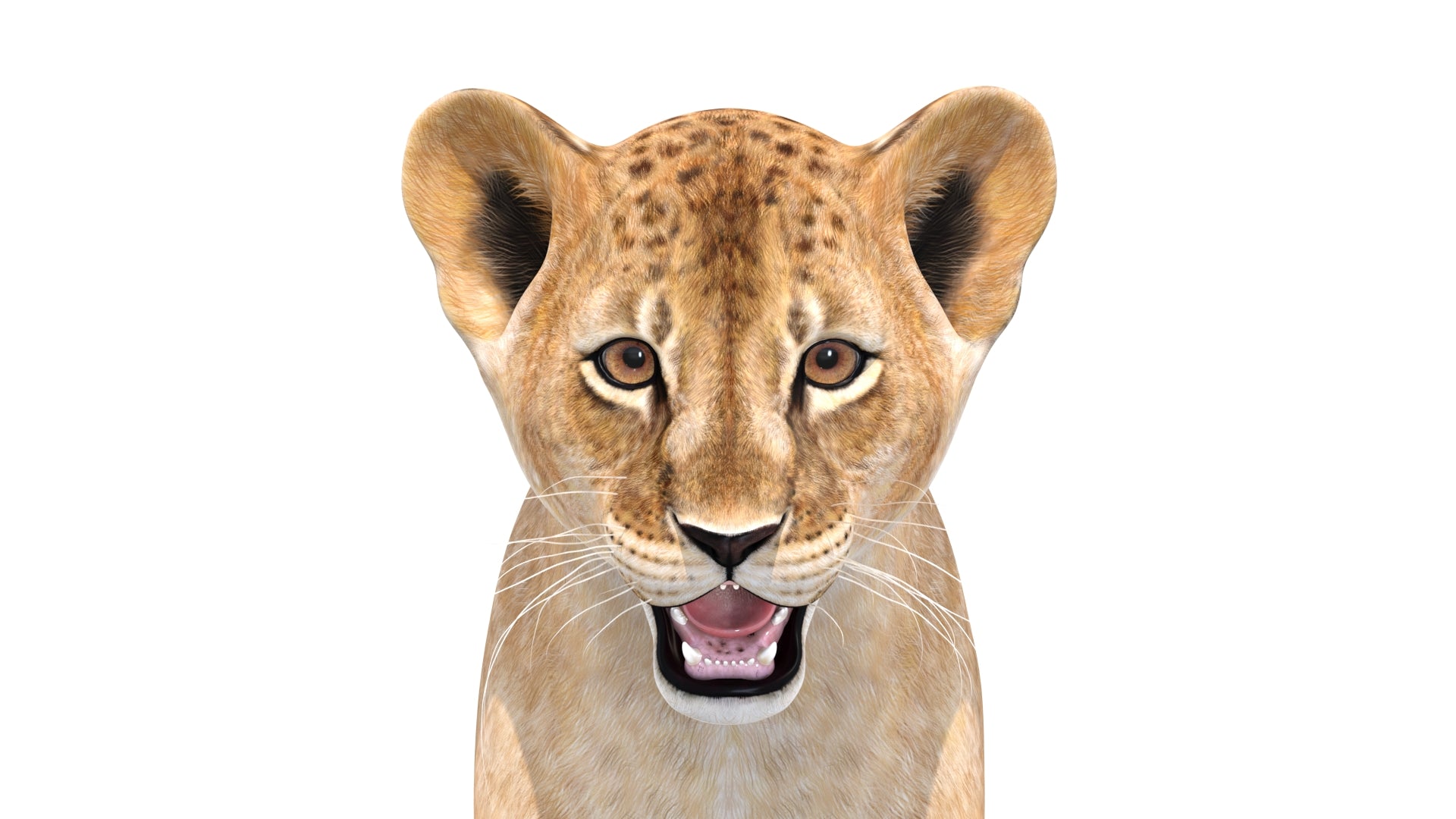 Lion Cub 3D Model Bundle – Natural & White