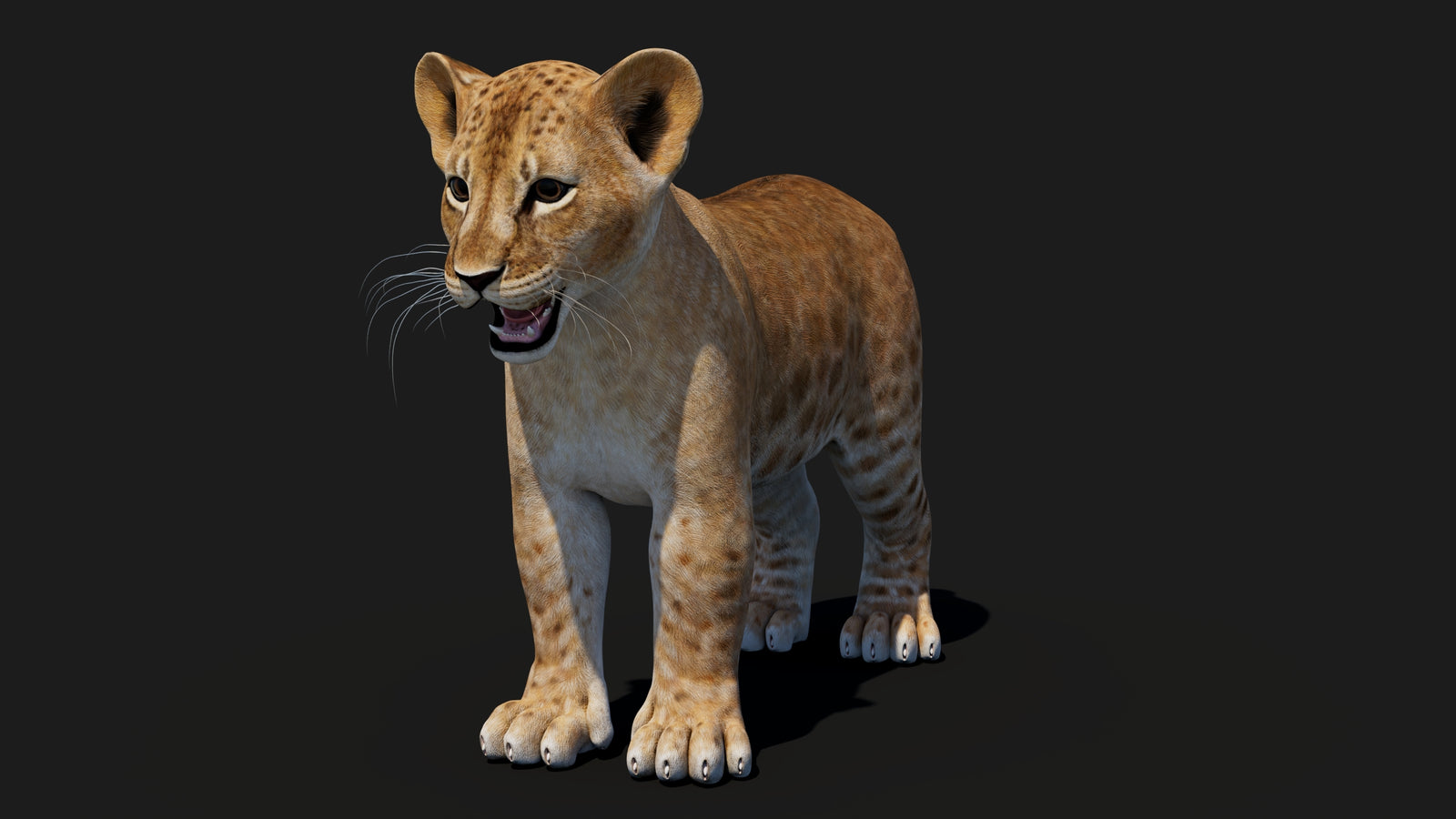 Baby Lion 3D Model 360° view 1 frame 2