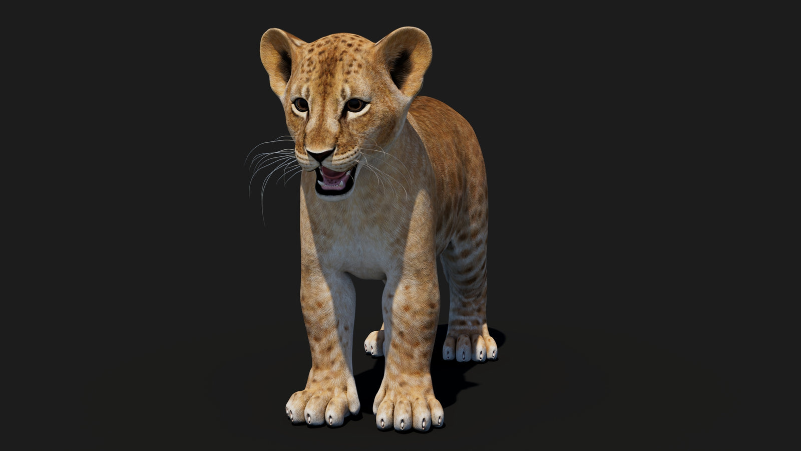 Baby Lion 3D Model 360° view 1 frame 3