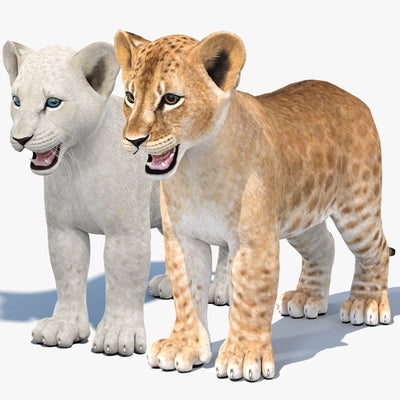 Lion Cub 3D Model Bundle – Natural & White
