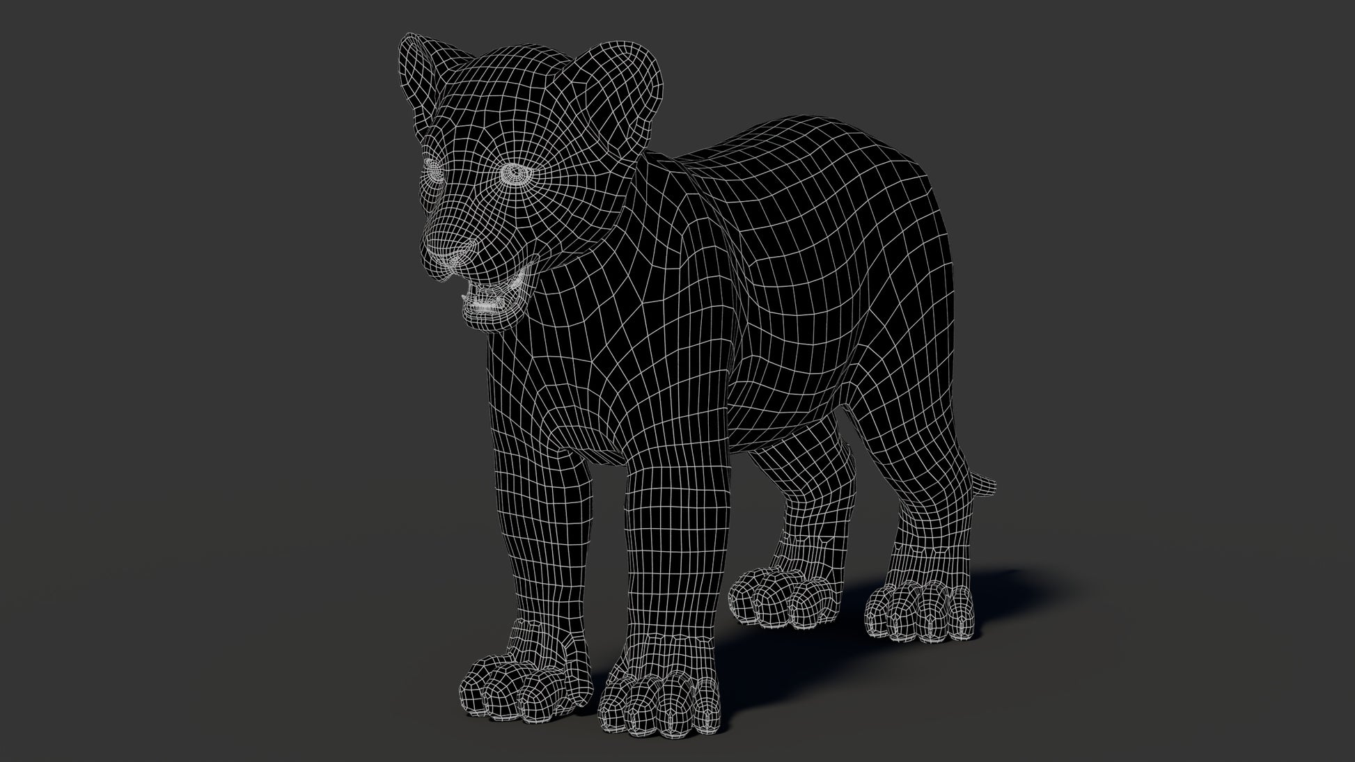 Lion Cub 3D Model Wireframe View 0