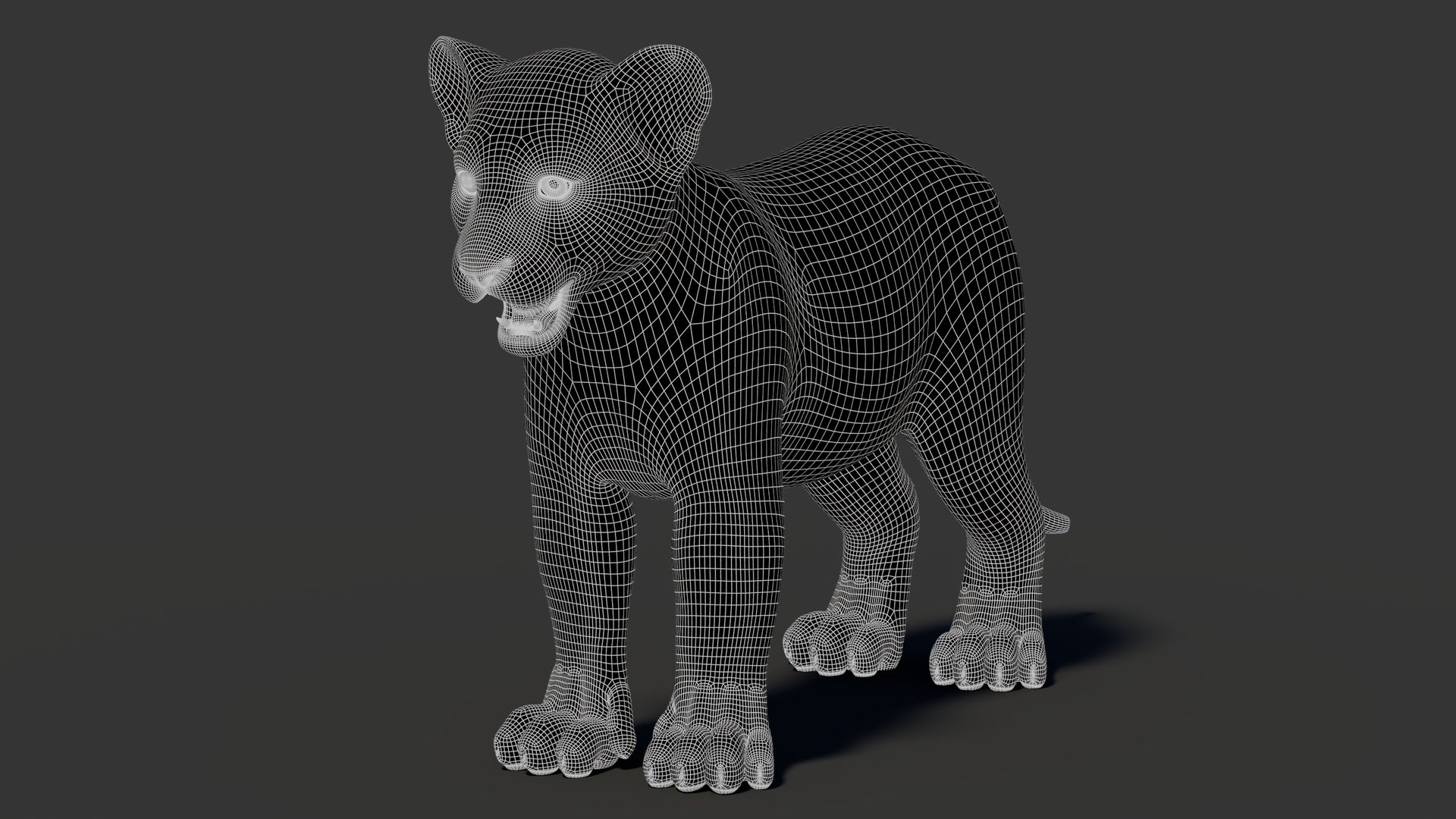 Lion Cub 3D Model Wireframe View 1